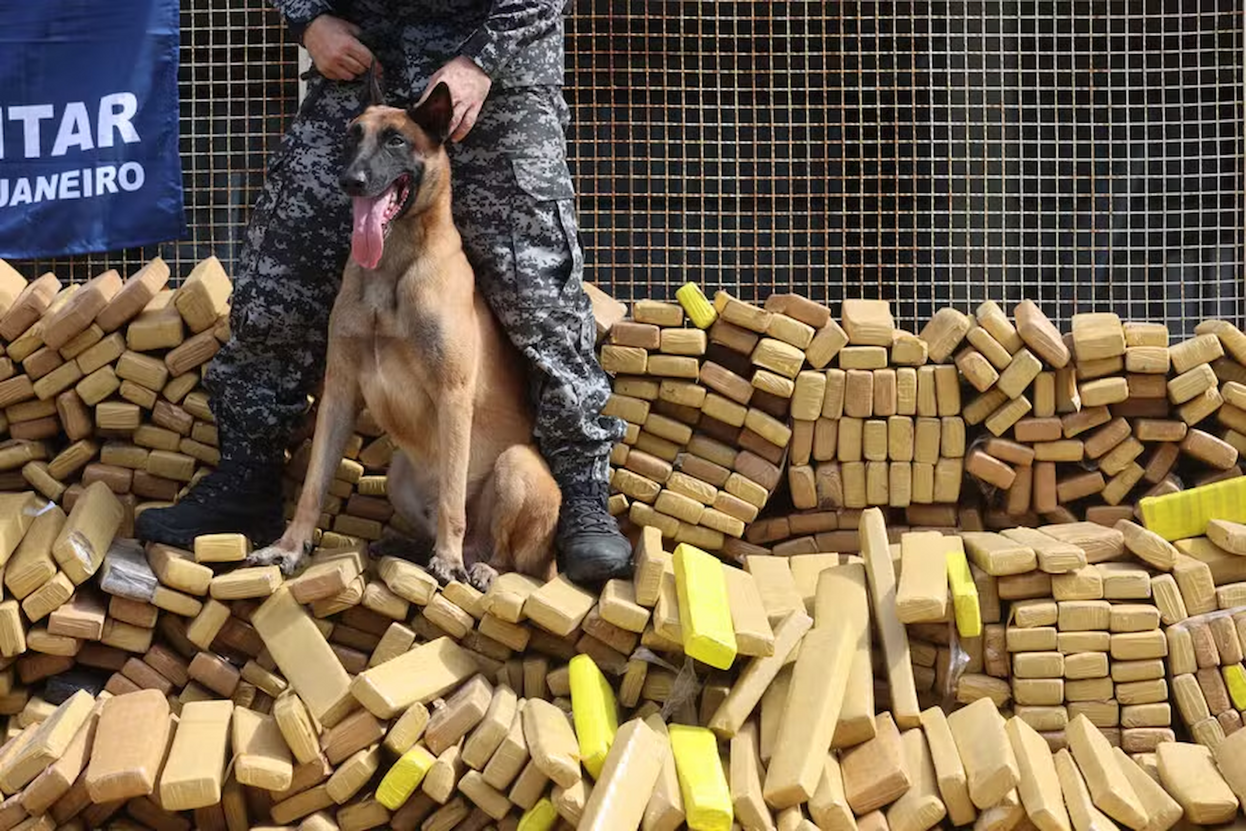 Homenagem inédita: Medalha para cão da PM gera controvérsia na Alerj