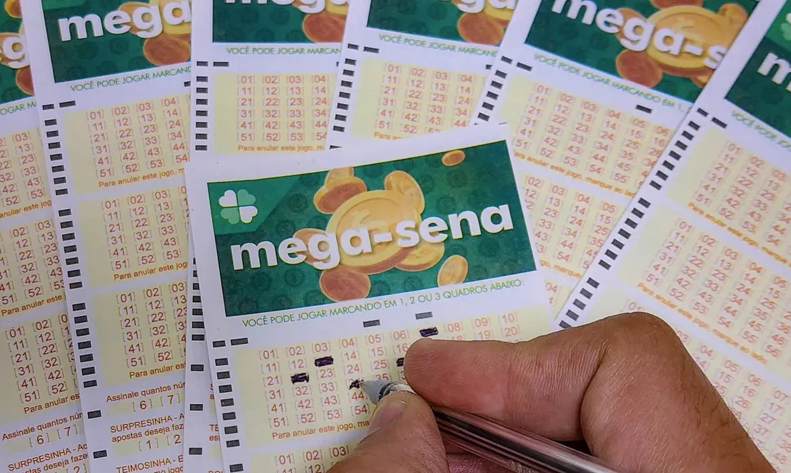 Mega-Sena acumula e pode pagar R$ 36 milhões no próximo concurso