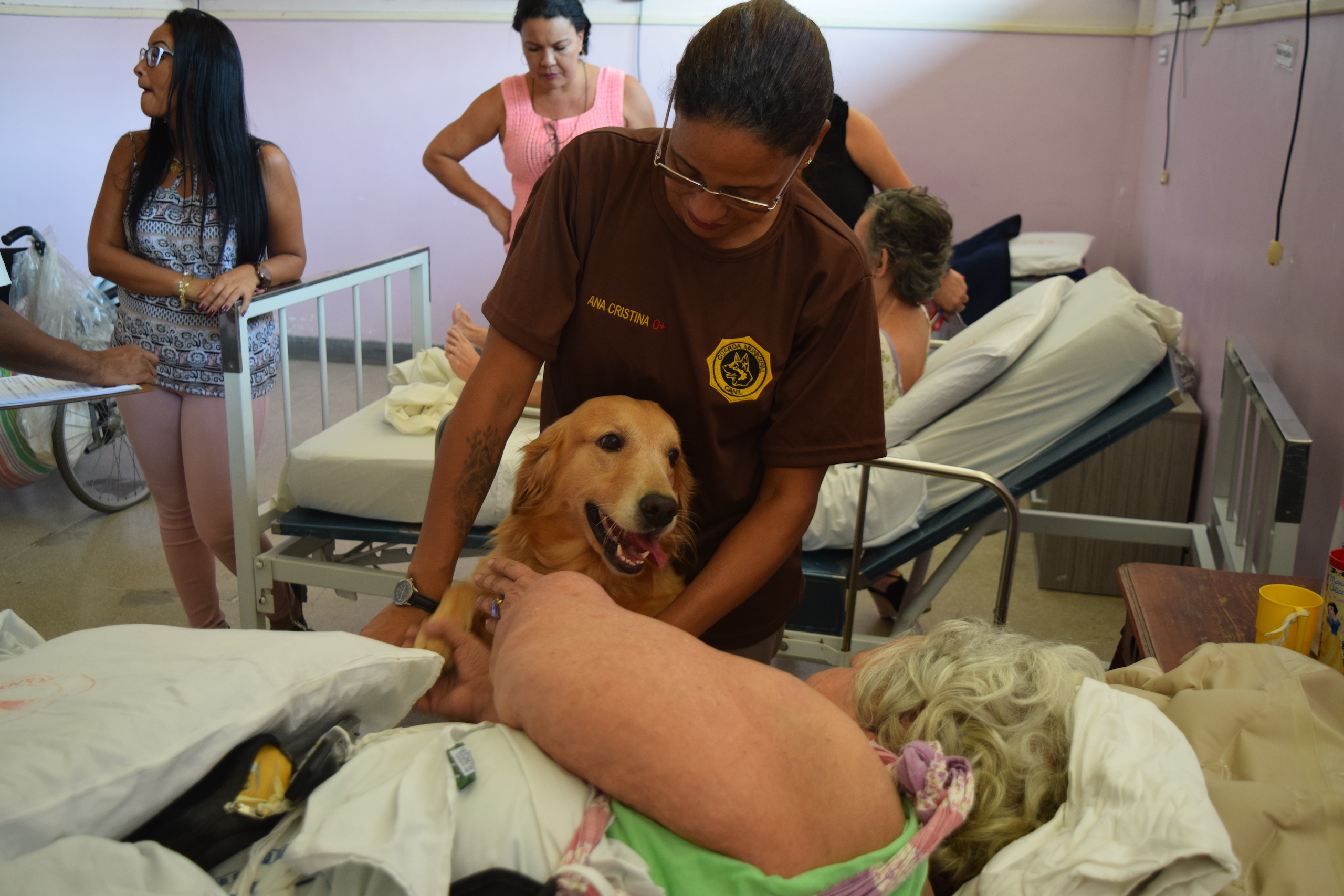 Serviços assistidos por animais ganham regulamentação no RJ