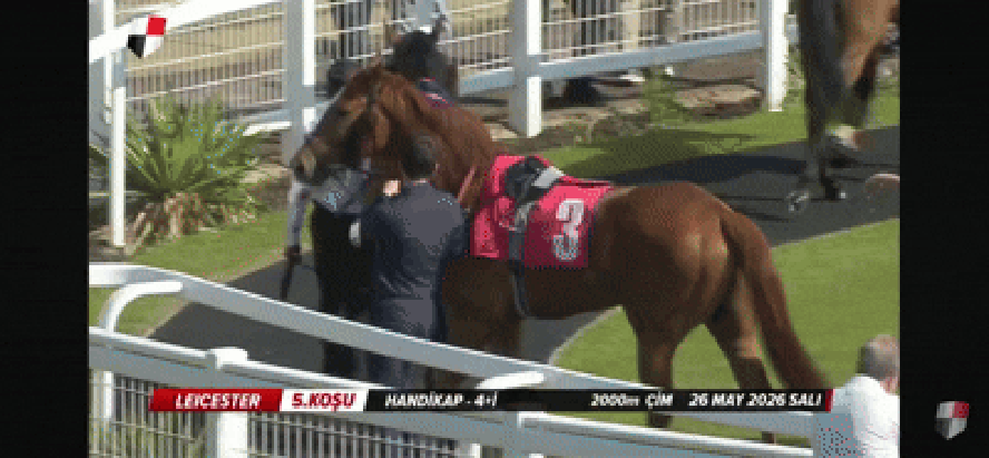 Assistente de hipismo é atingida por vioolento coice de cavalo em corrida e vídeo viraliza
