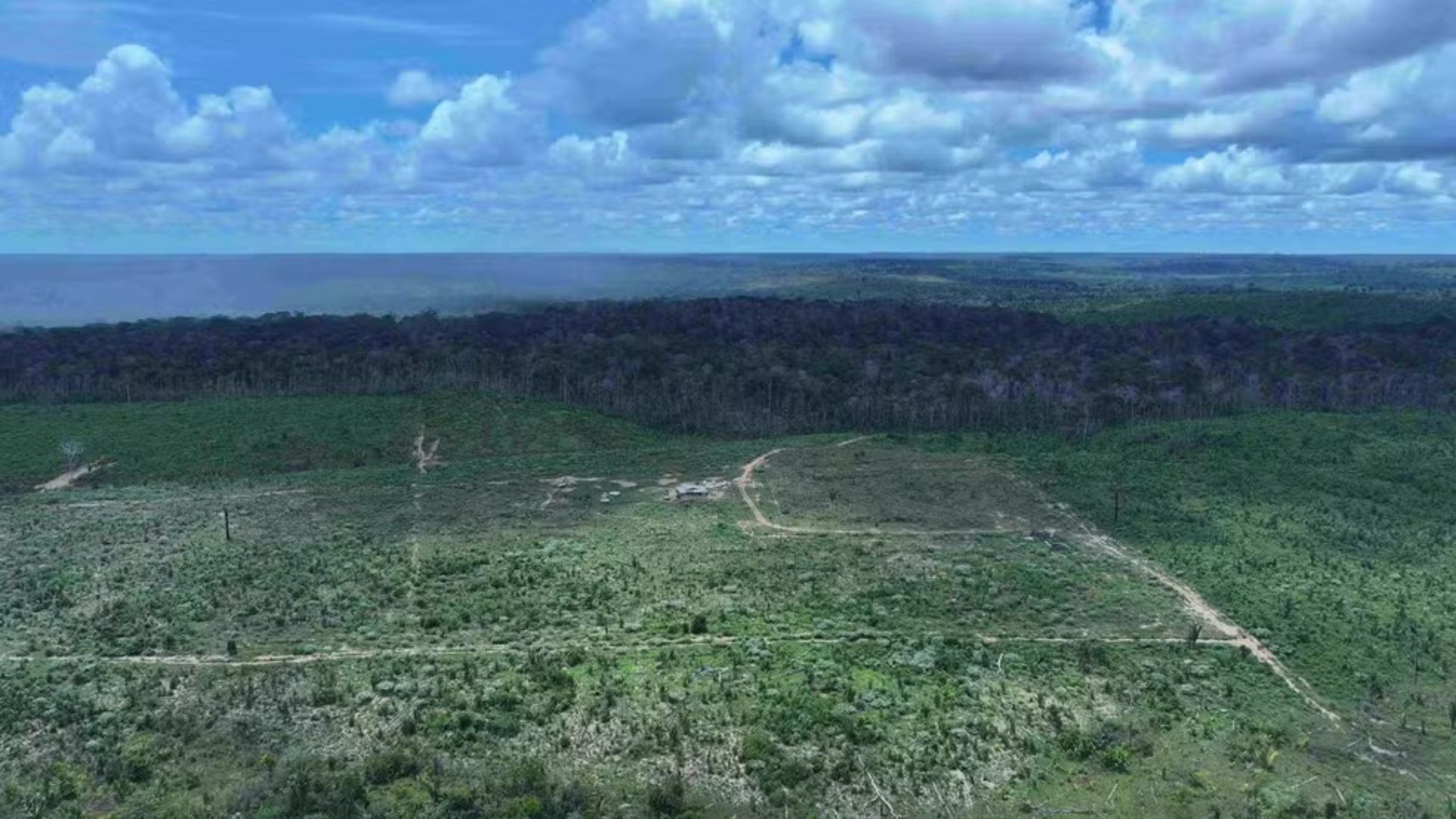 Câmara aprova projeto que limita multas ambientais com base em imagens de satélite
