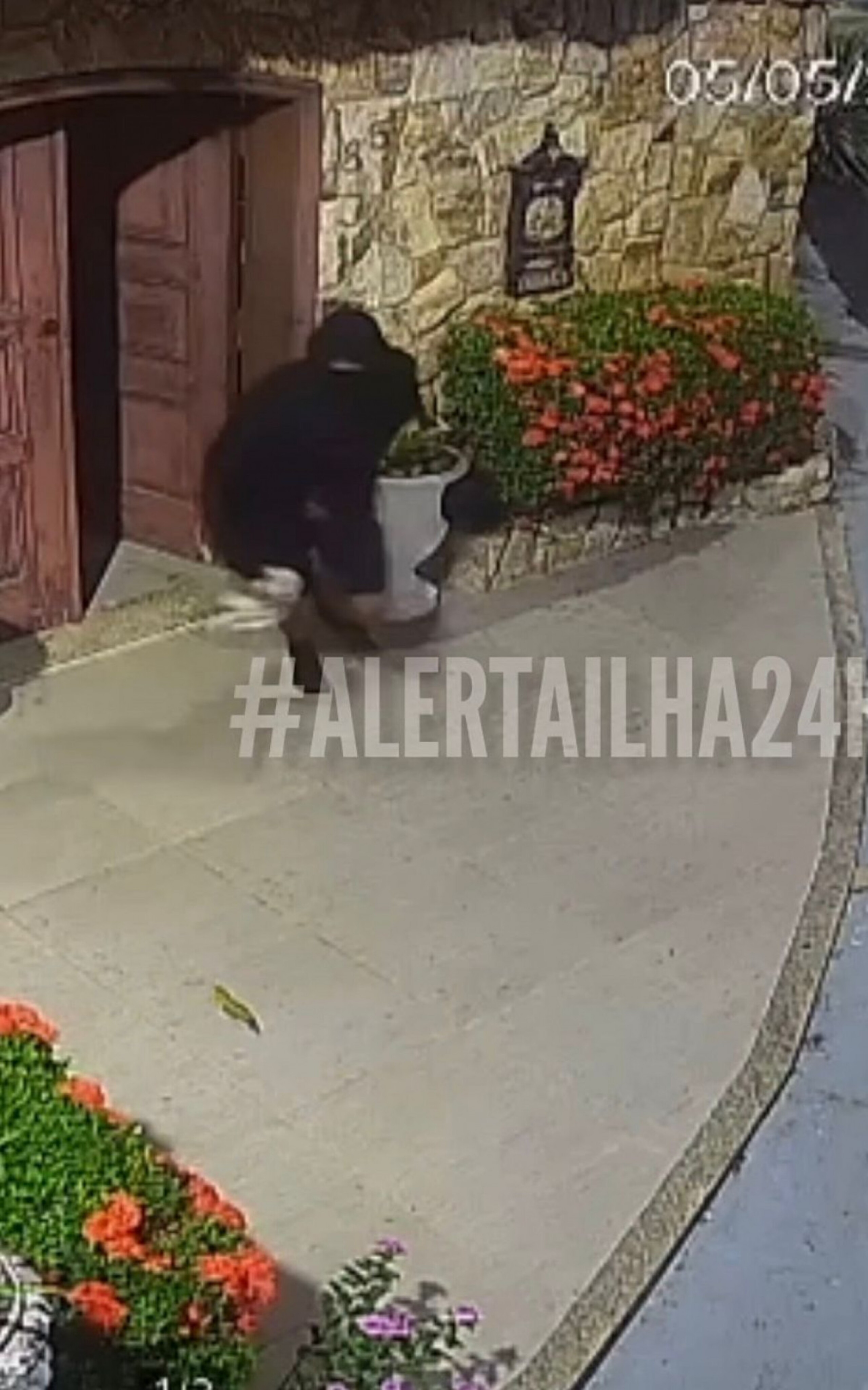 Idoso é baleado após criminosos invadirem casa na Ilha; vídeo
