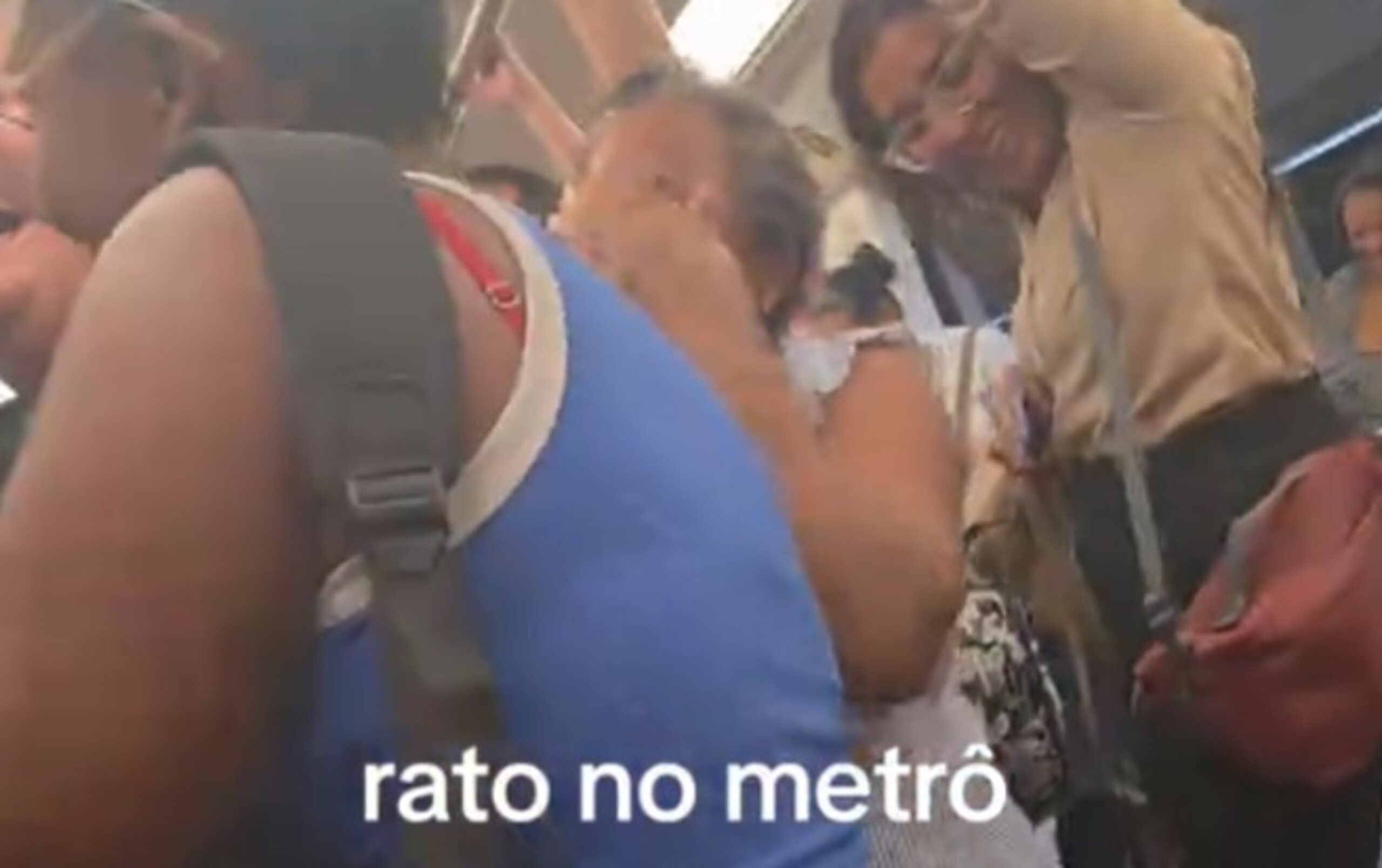 Vídeo: rato assusta passageiras em vagão feminino do MetrôRio