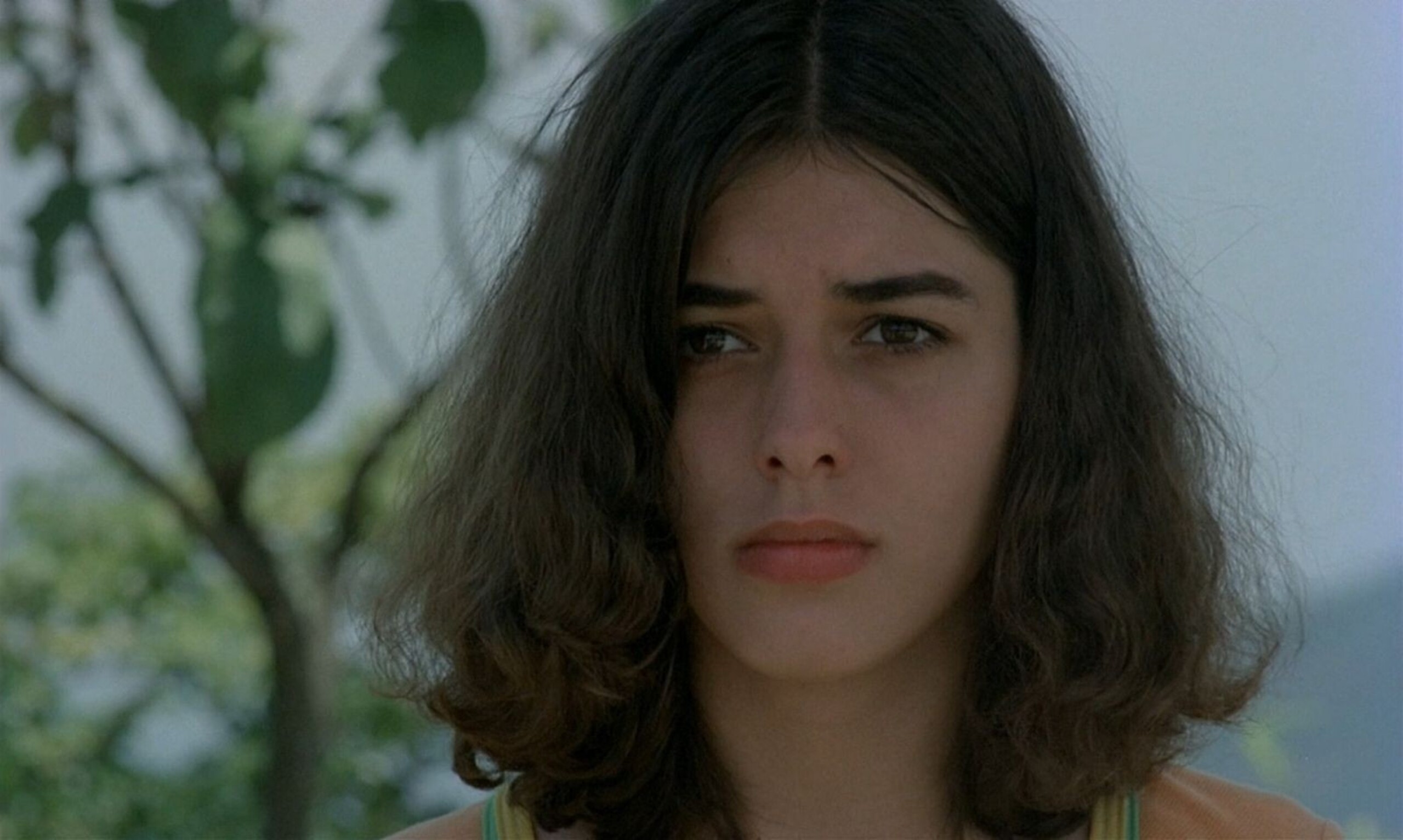 Caixa Cultural homenageia Cristina Aché com mostra de cinema