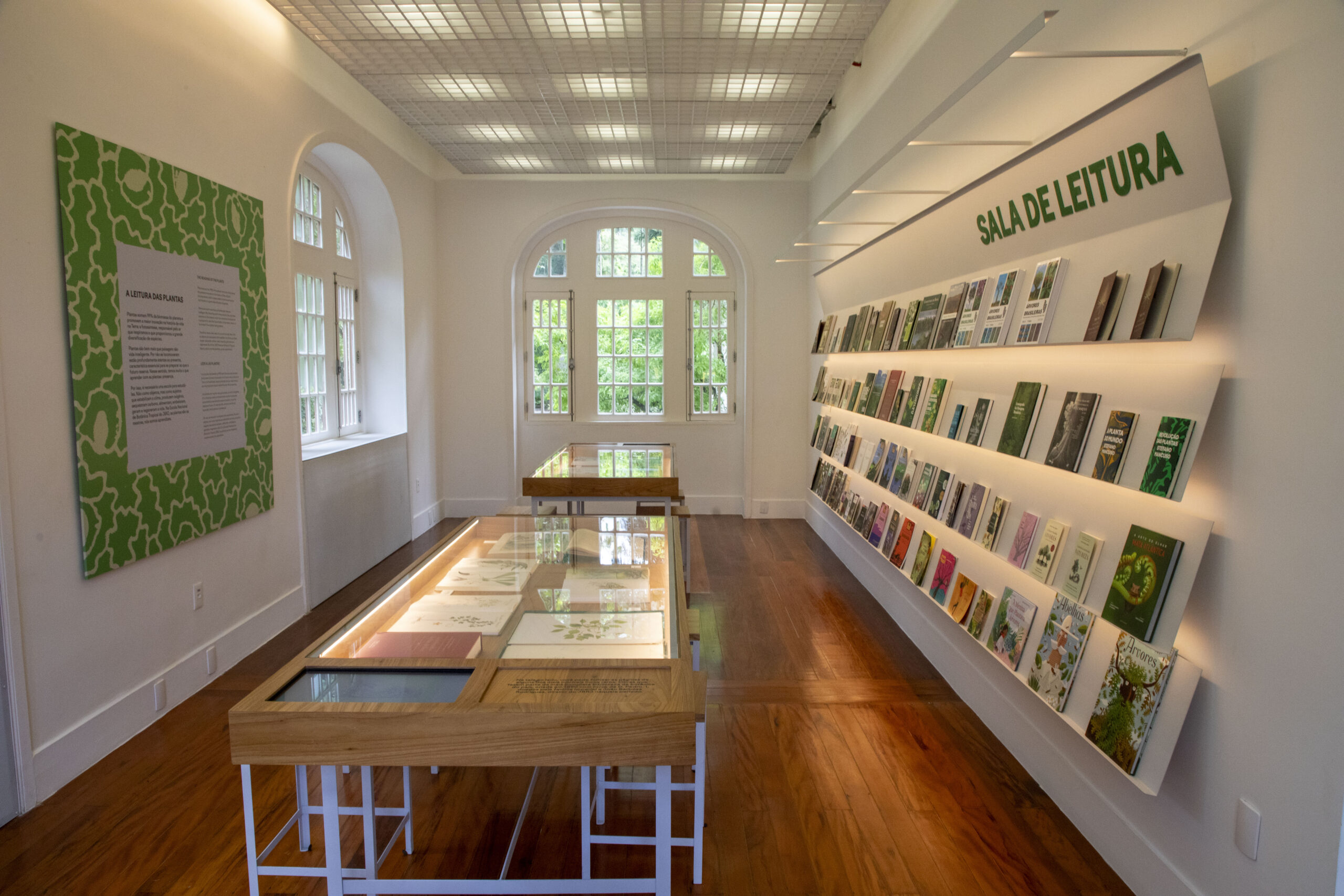 Museu do Jardim Botânico promove debate sobre futuro da Amazônia