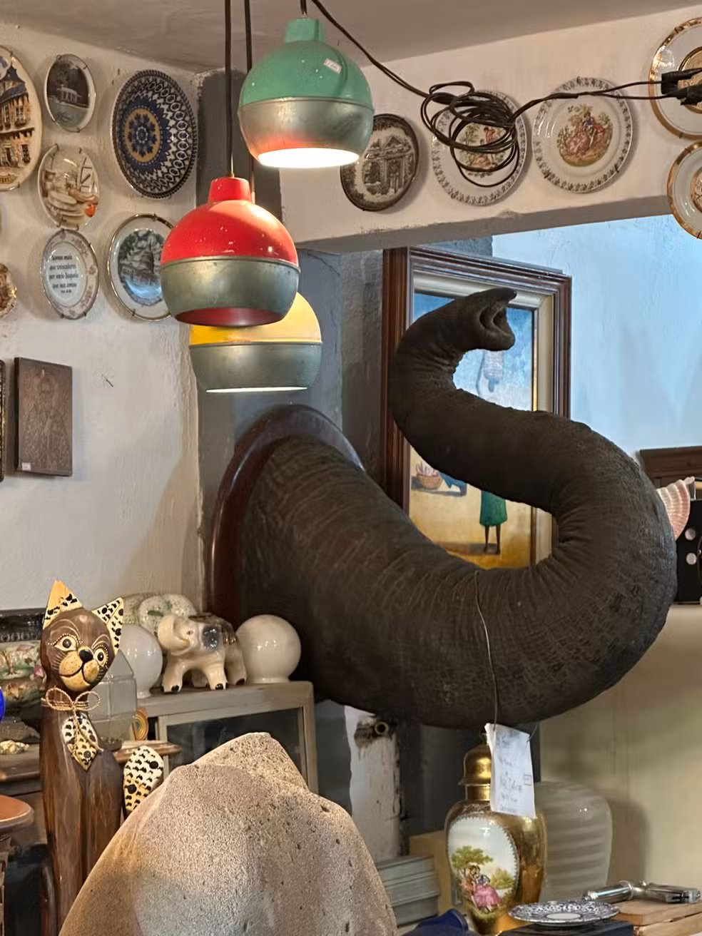 Tromba de elefante asiático é apreendida em antiquário no Centro do Rio e PF investiga