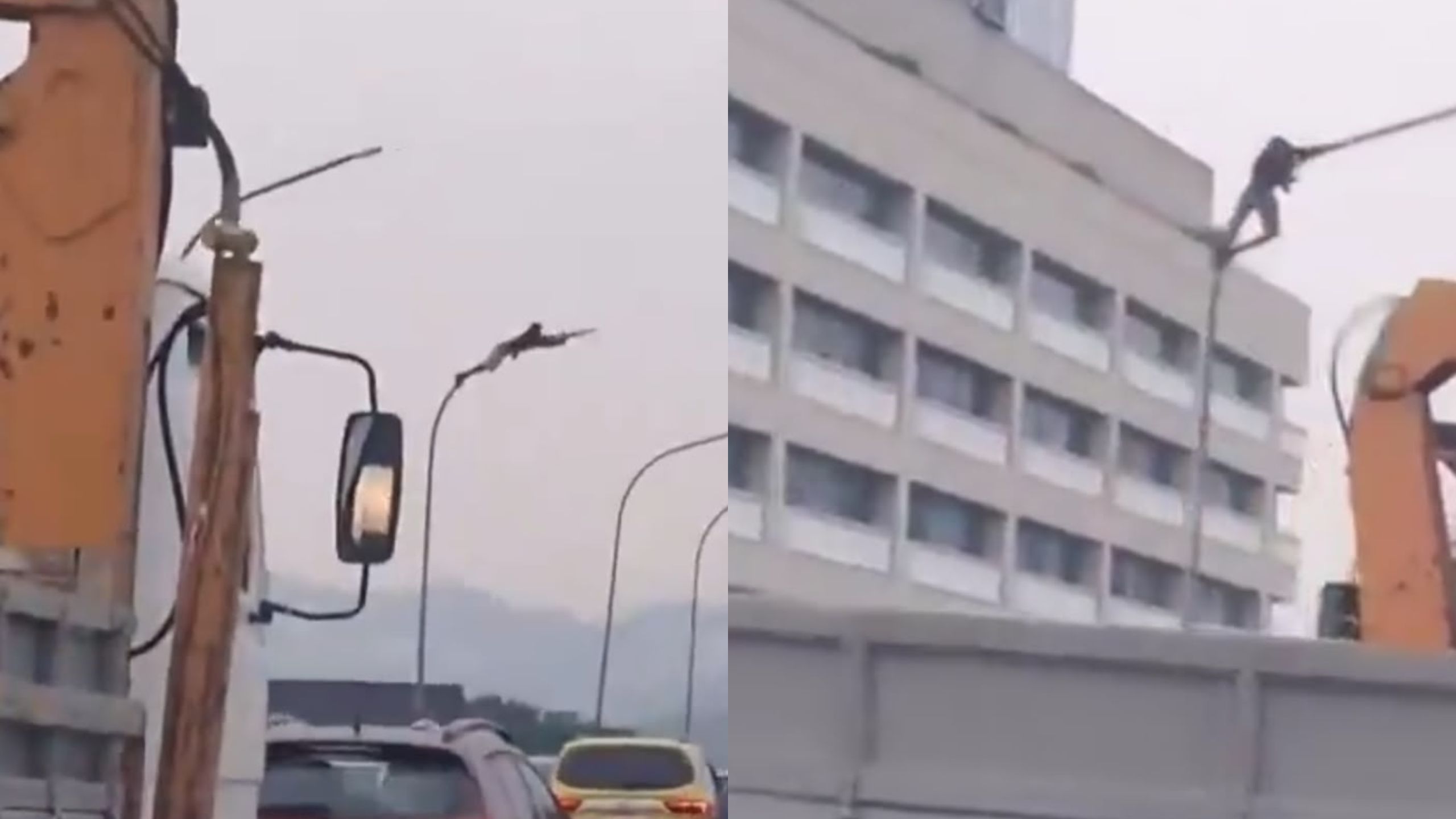 Homem se pendura em poste para roubar fios no Viaduto do Gasômetro