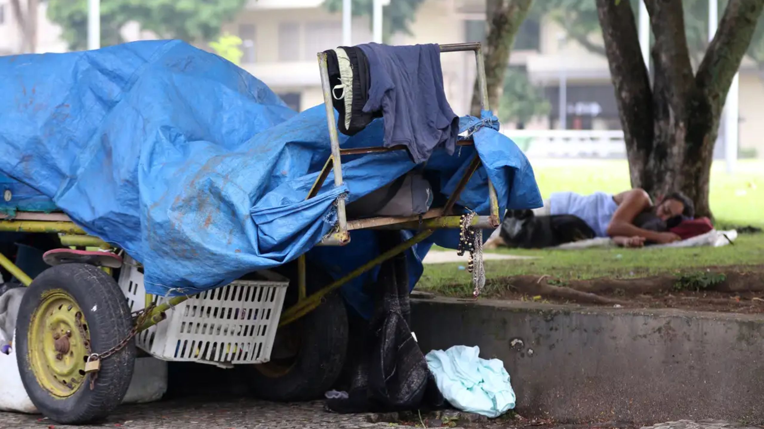 Quem vive em situação de rua no Rio? Entenda por que o número cresce e o perfil se mantém