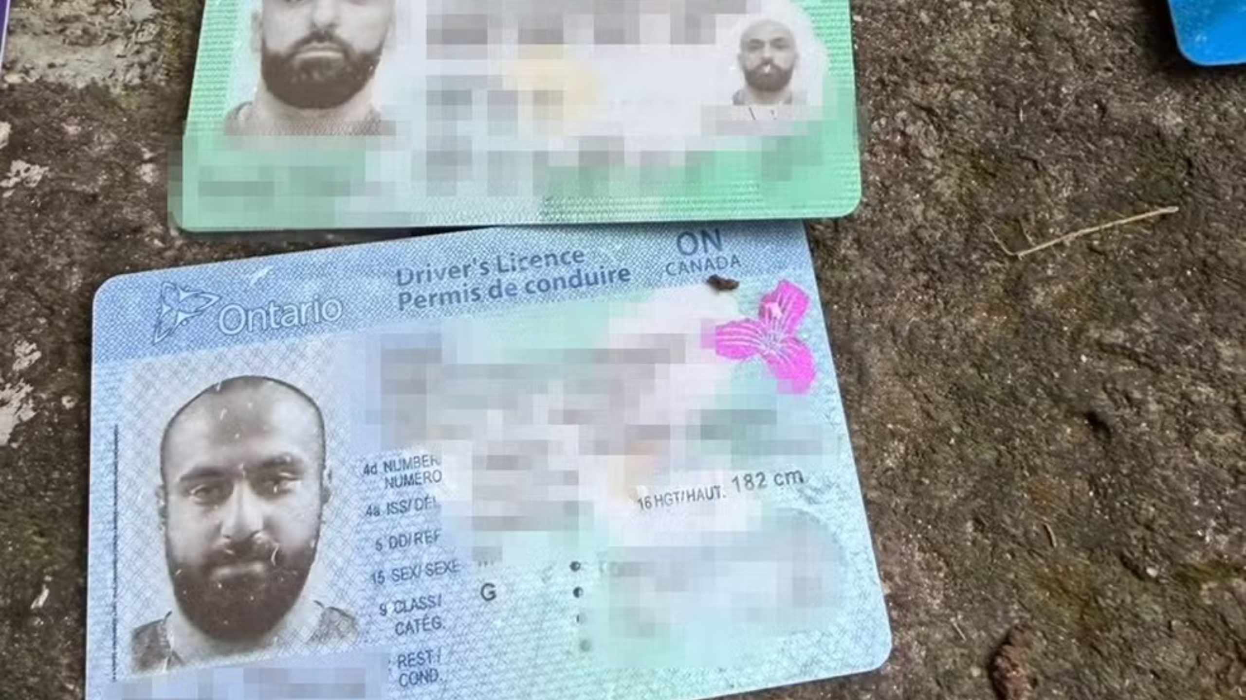 Foi um canadense quem morreu ao cair em trilha de cachoeira no Parque Nacional da Tijuca
