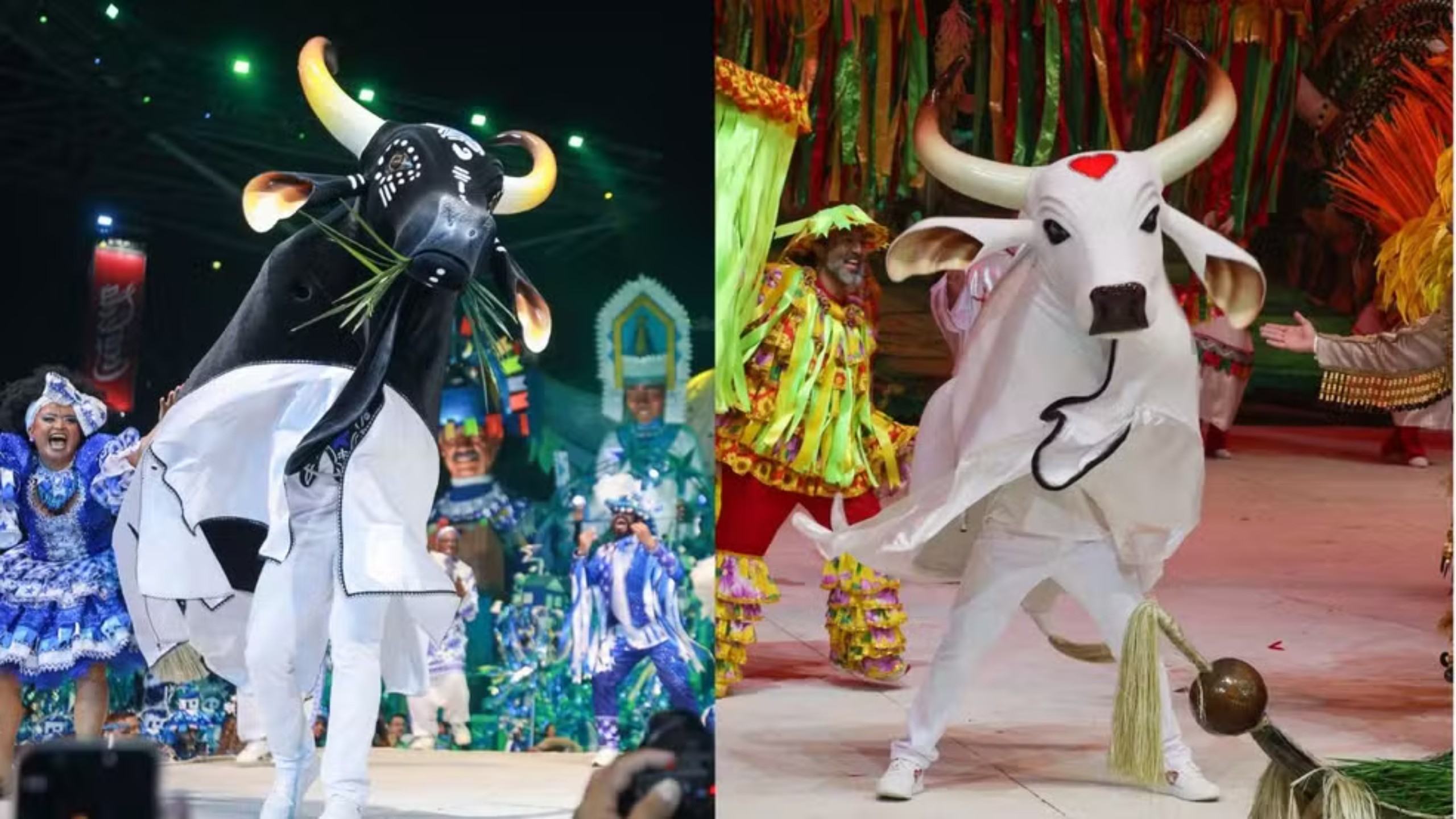 Garantido ou Caprichoso: Festival de Parintins 2026 tem apuração no Bumbódromo nesta segunda