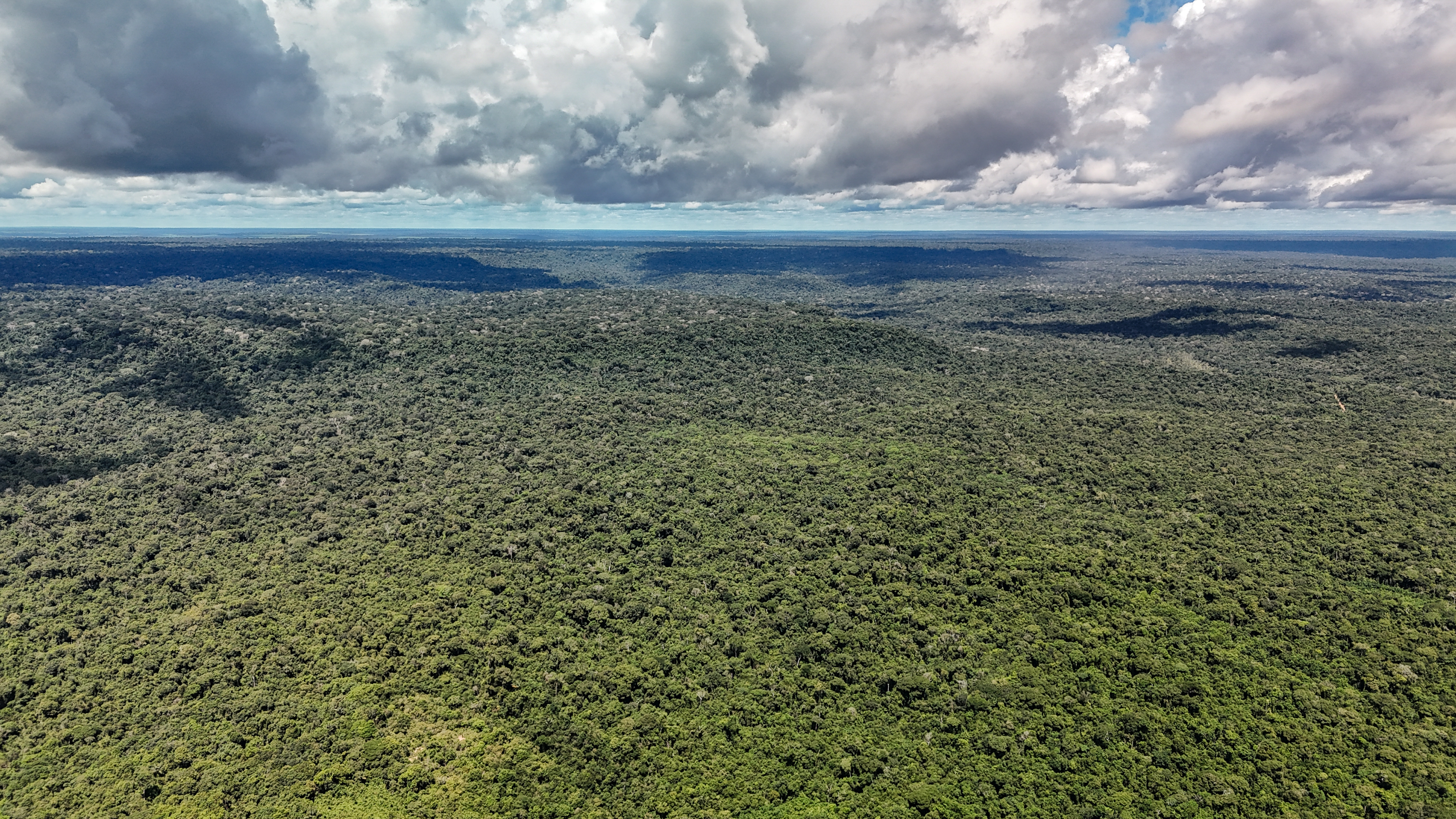 Fundo Amazônia acelera investimentos e aprova R$ 4,3 bilhões em projetos desde a volta de Lula
