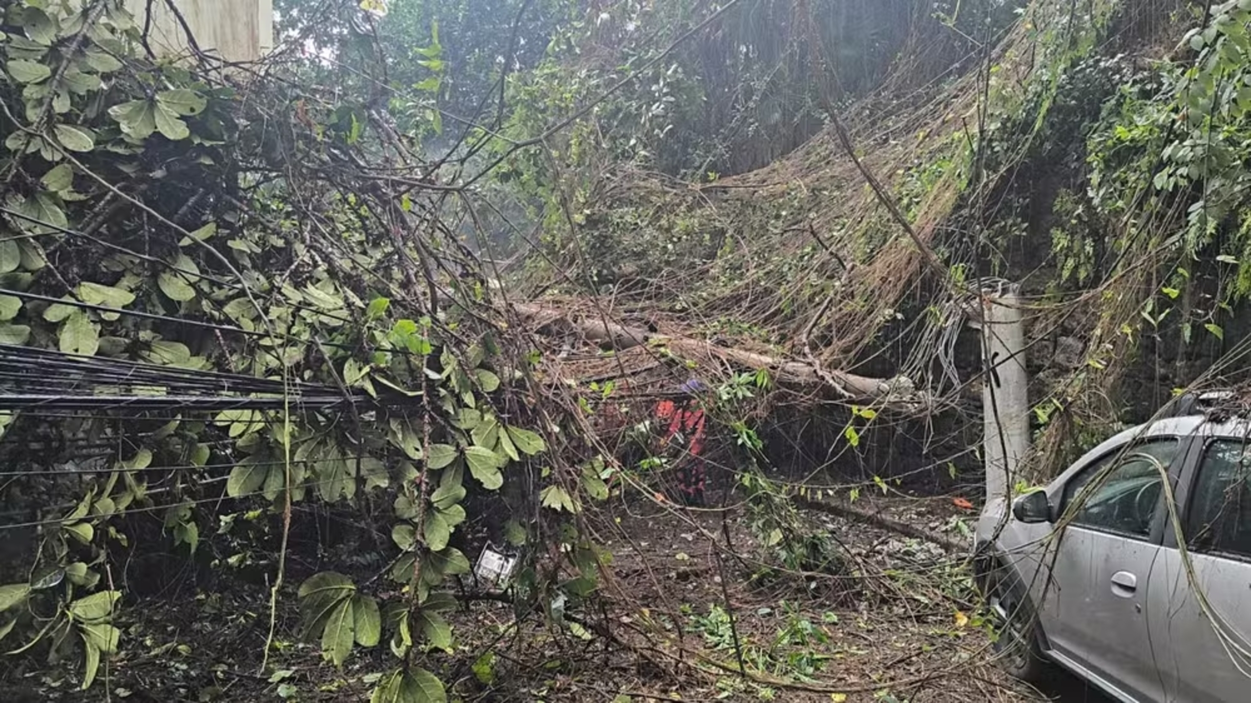 Deslizamento de terra interdita acesso aos morros Chapéu Mangueira e Babilônia, no Leme