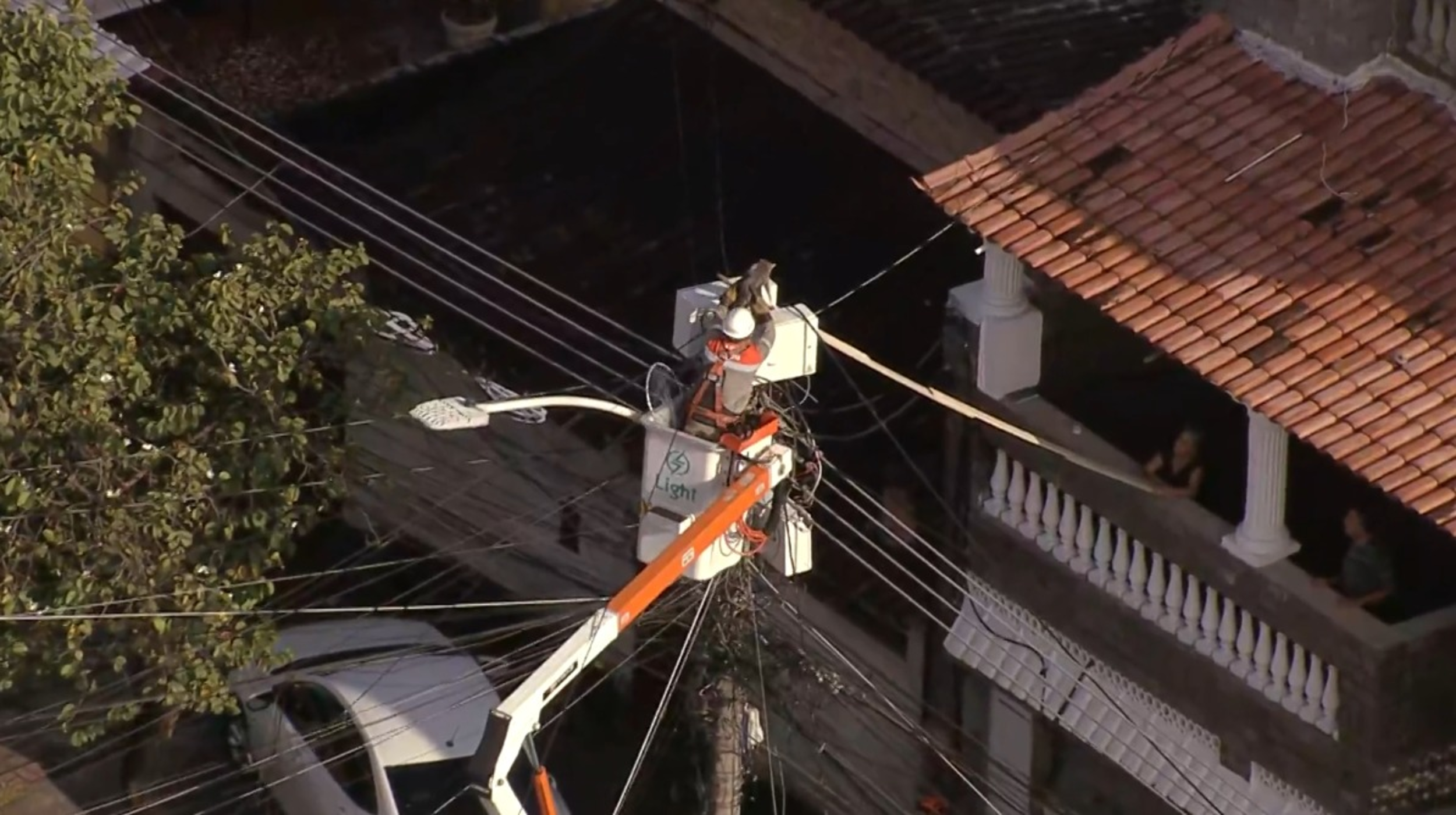 Gato em poste na Pavuna, na Zona Norte, mobiliza moradores e equipes da Light