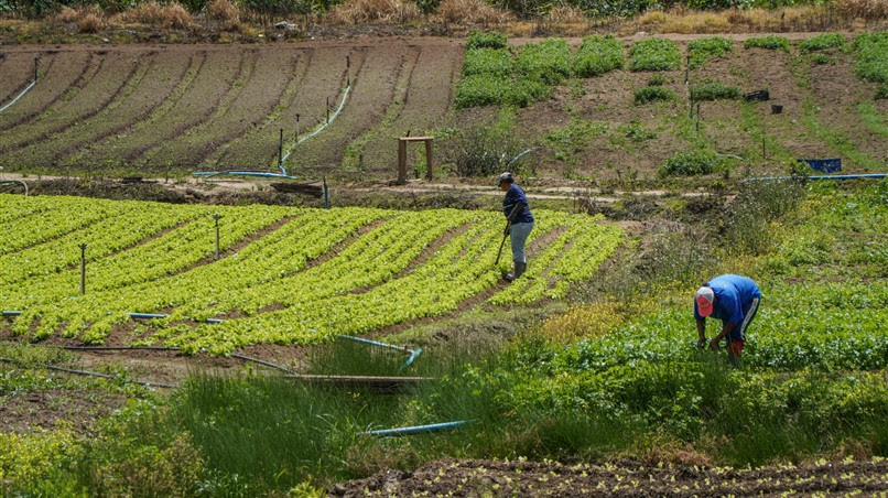 Governo do Estado sanciona lei que prorroga benefício do ICMS para o agronegócio