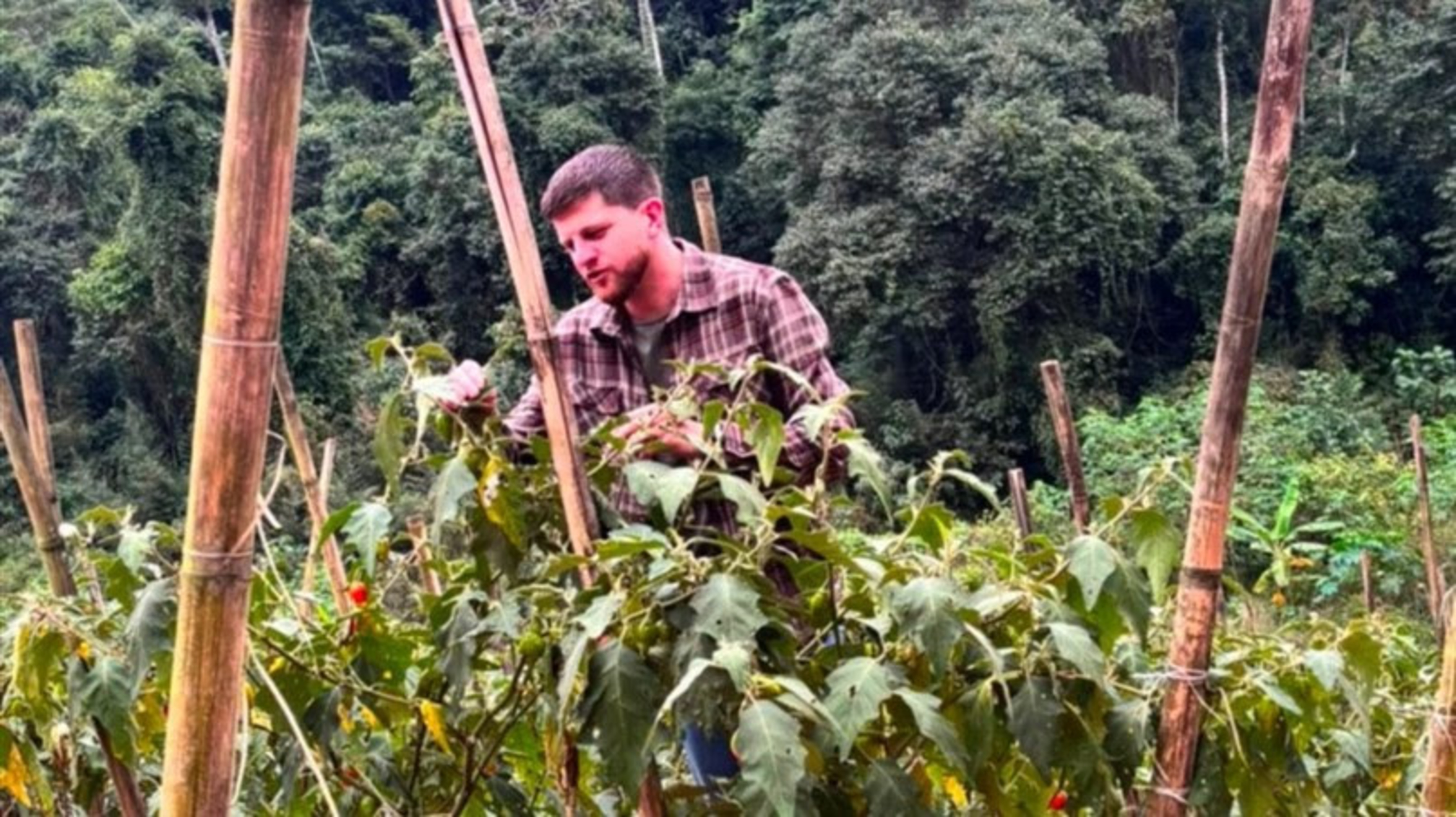 Leis aprovadas na Alerj ampliam apoio à agricultura familiar e valorizam produtores rurais