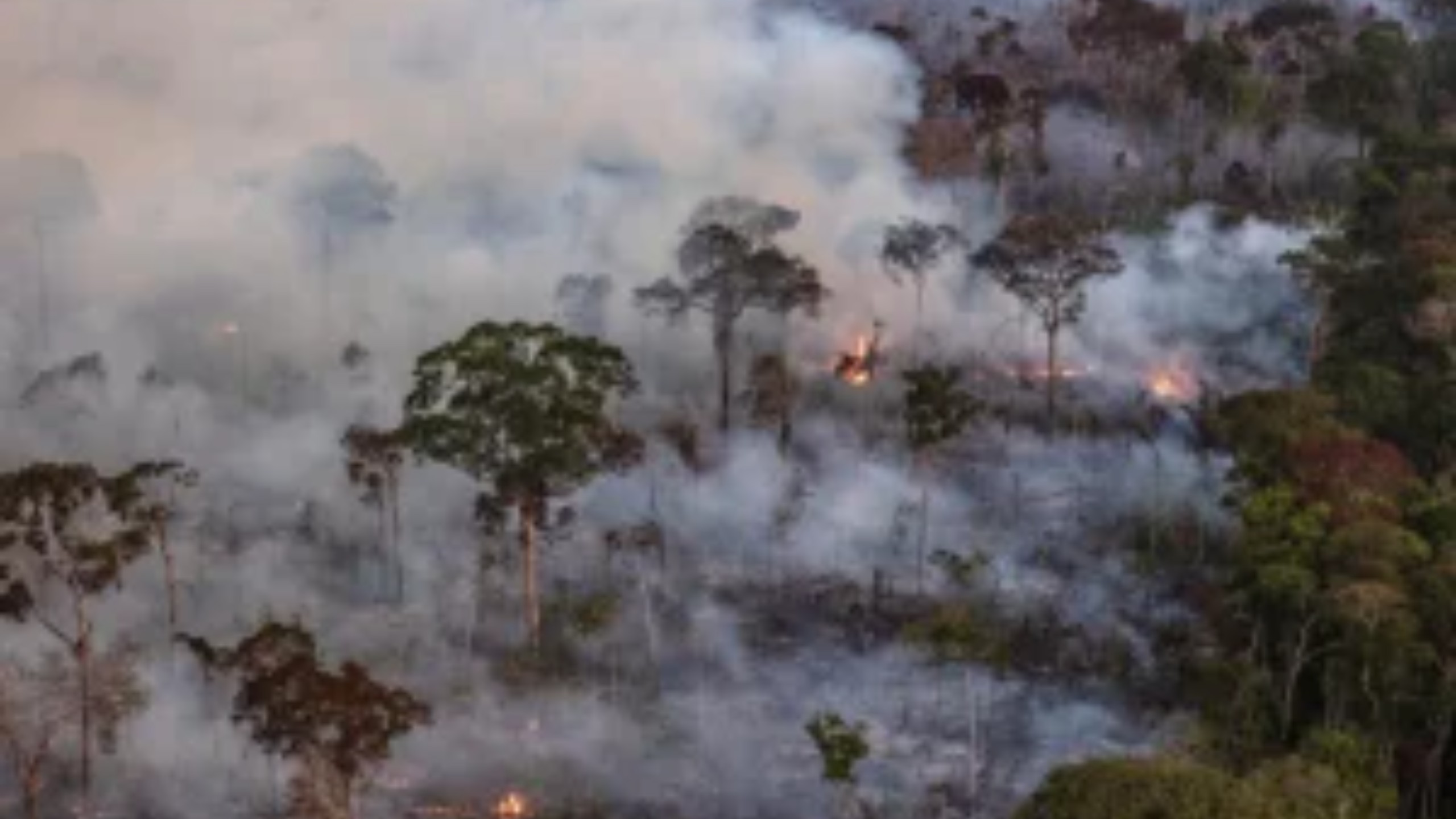 Brasil registra queda de 31% nas queimadas de 2025 e Amazônia teve menor área atingida em 41 anos