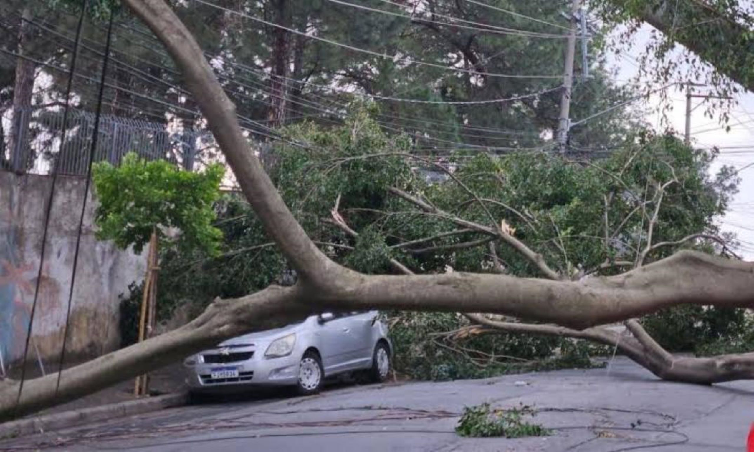 Ventania de até 125 km/h mata três pessoas e deixa São Paulo em alerta