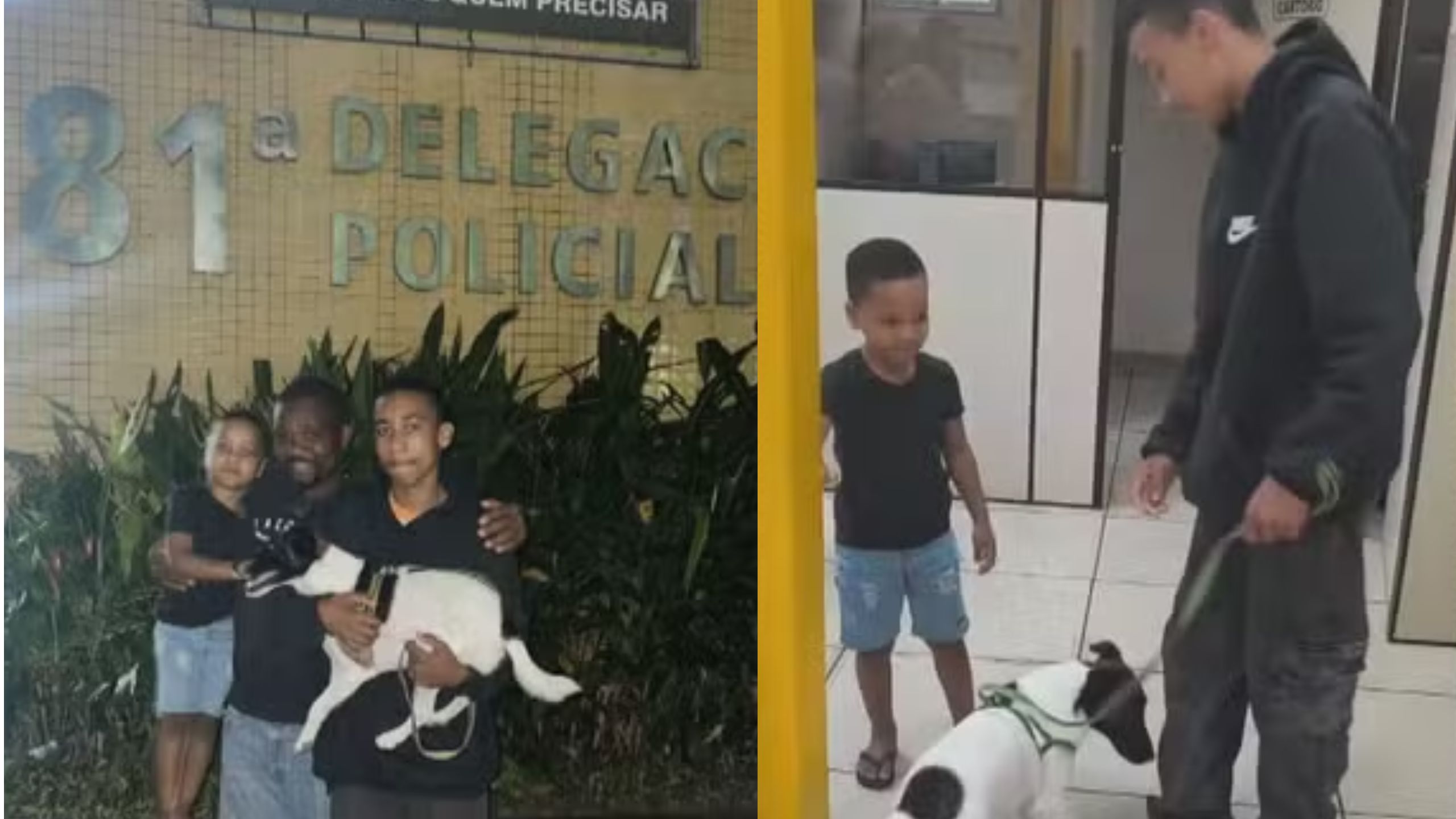 Cãozinho desaparecido é encontrado, mas só volta para casa após ação da polícia
