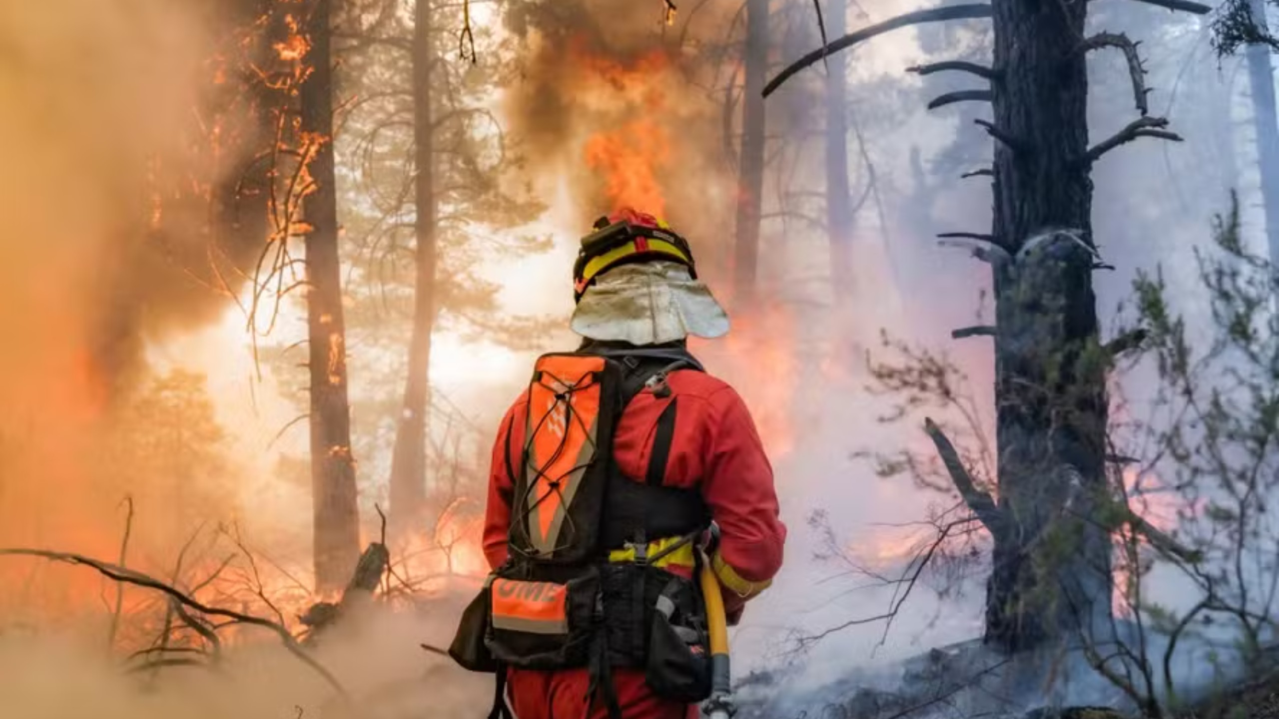 Calor extremo amplia incêndios na Europa e Espanha decreta emergência nacional
