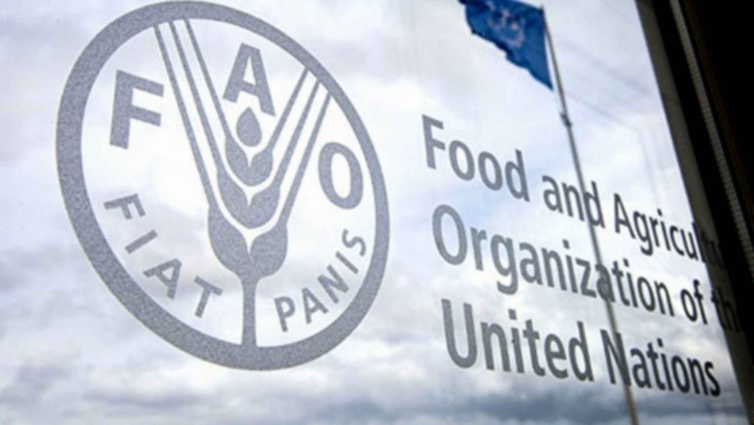 Alimentação saudável encareceu 25% no mundo em apenas cinco anos, diz FAO