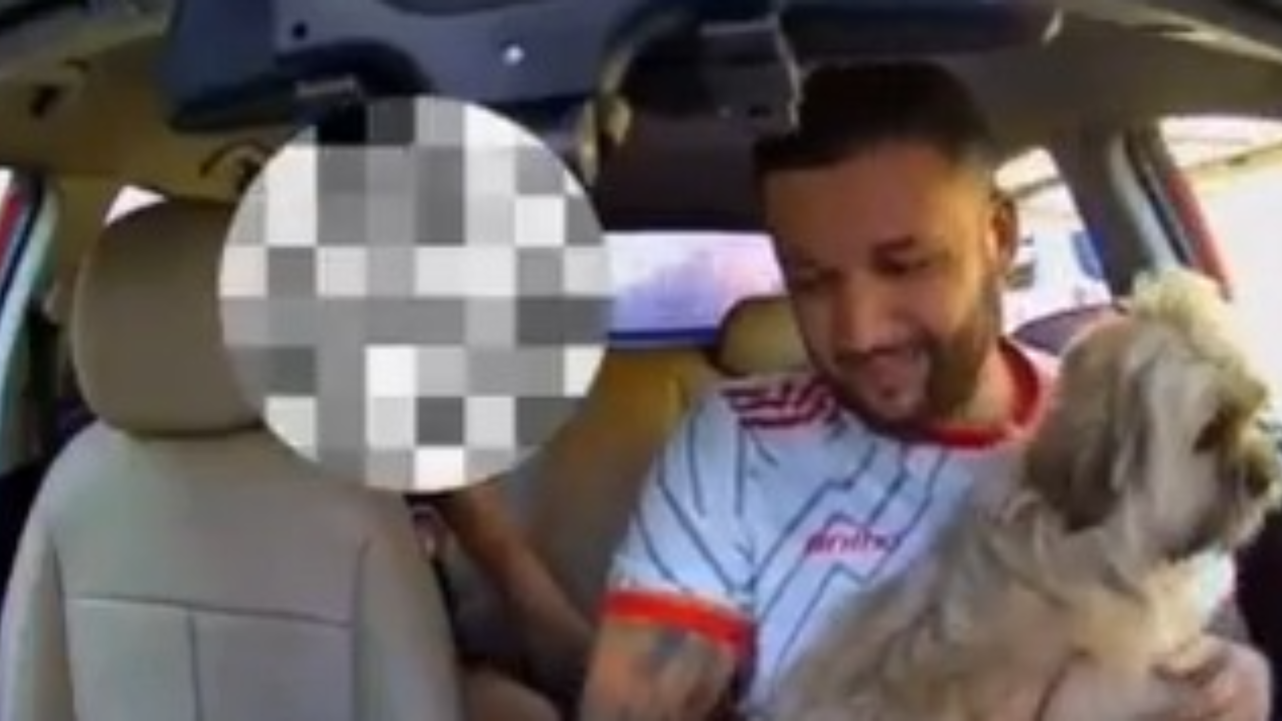 Motorista de aplicativo reencontra cachorro da tia durante corrida em São Gonçalo; vídeo