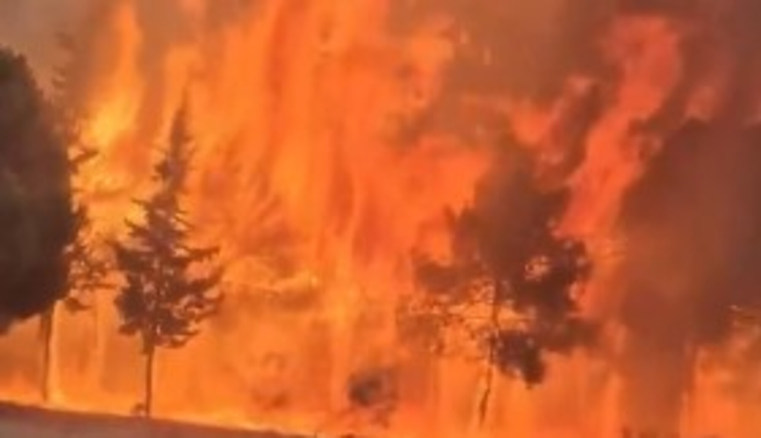 Incêndios florestais na Espanha deixam milhares de desabrigados
