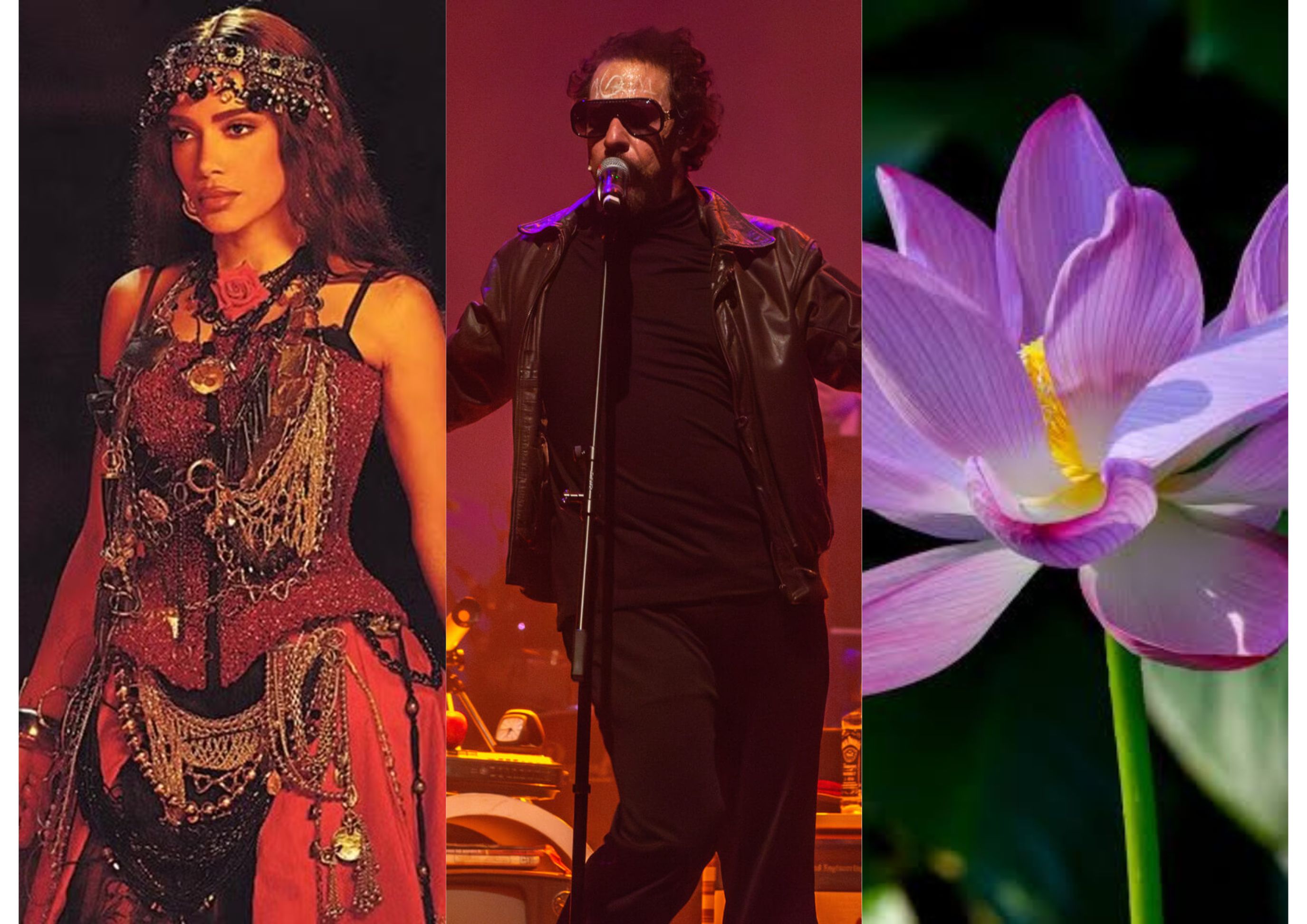 O que fazer no Rio: Anitta, musical de Raul Seixas e expo no Jardim Botânico