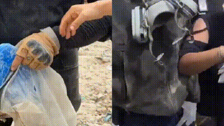Vídeo: Policiais são presos por saquearem área devastada por terremoto e ampliam crise na Venezuela