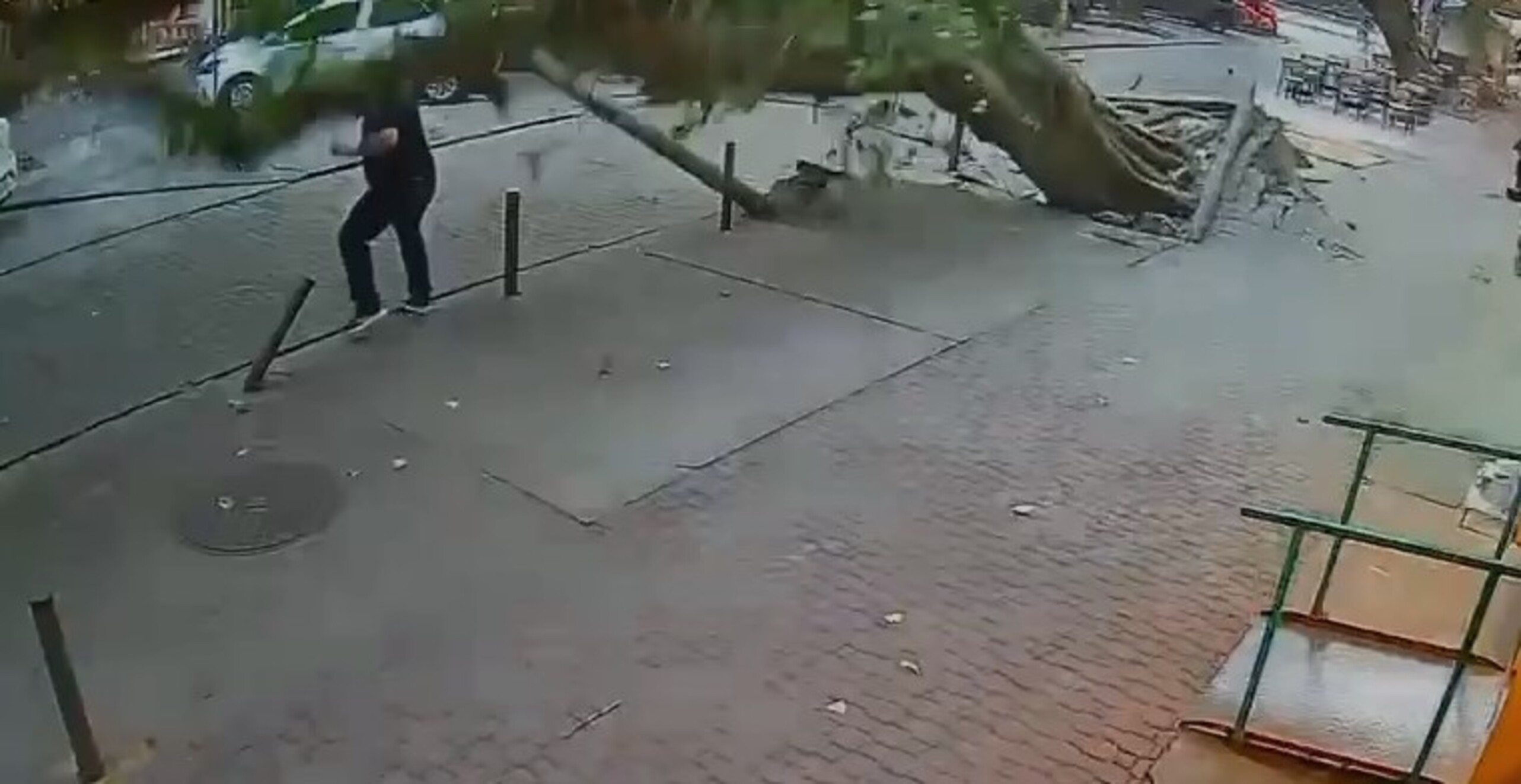Vídeo: homem escapa por centímetros de ser esmagado por árvore na Tijuca