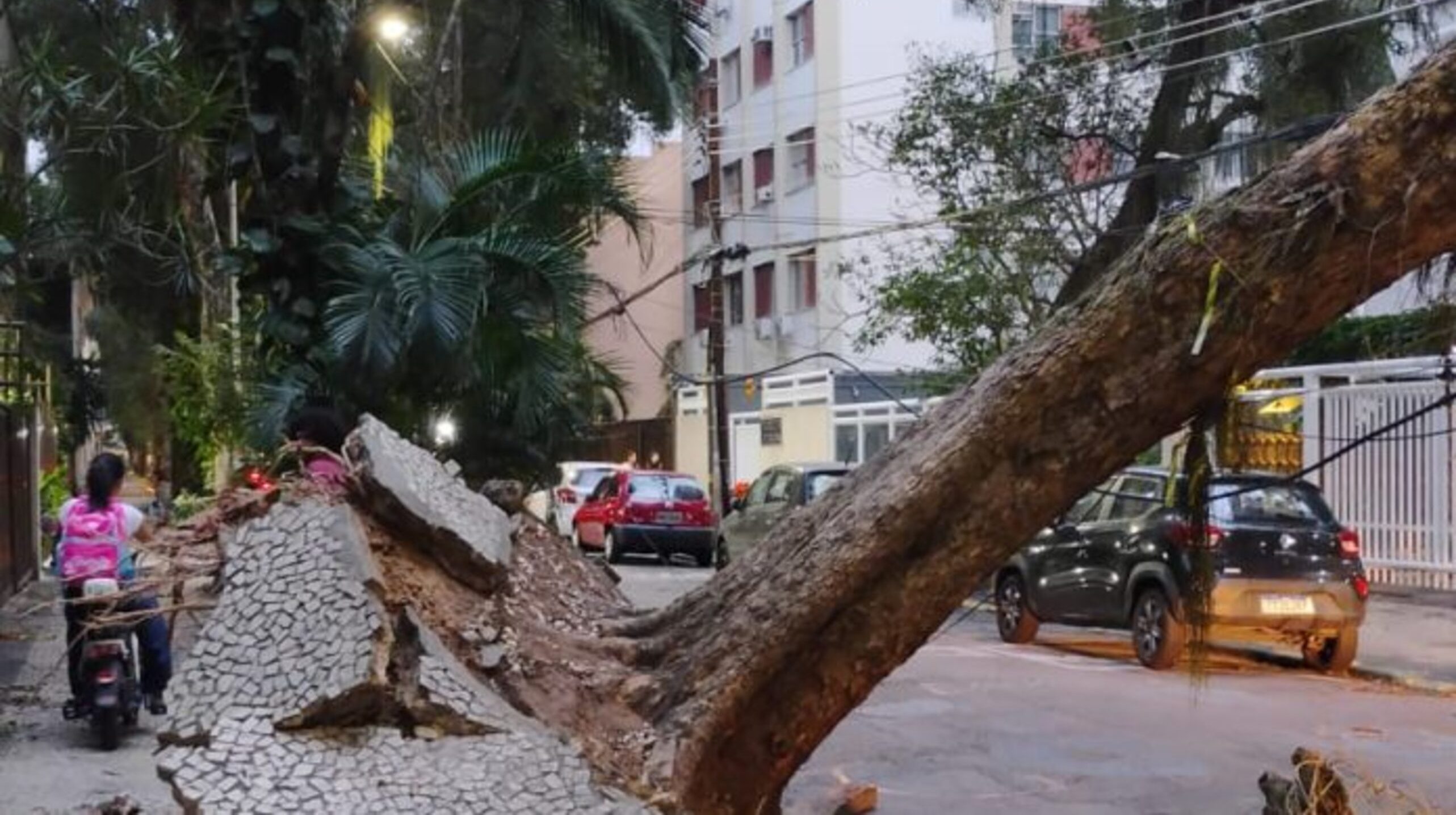 Arquidiocese do Rio faz campanha para vítimas do vendaval; saiba como ajudar